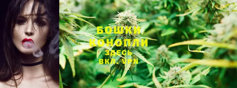 Канабис White Widow  Камбарка 